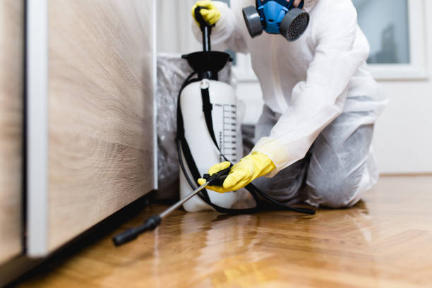 Best Bed Bug Extermination  in Cascades, VA