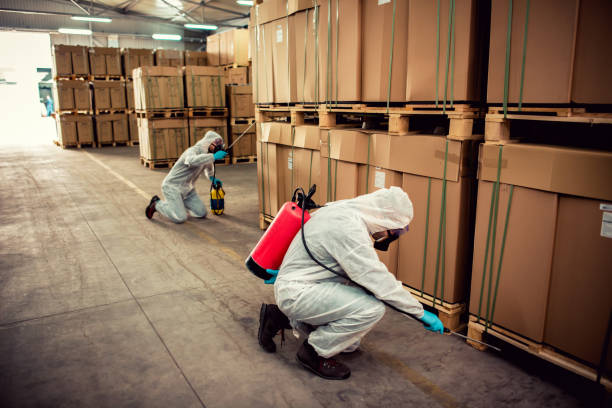 Best Bed Bug Extermination  in Cascades, VA