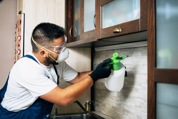 Best Affordable Pest Control Services  in Cascades, VA