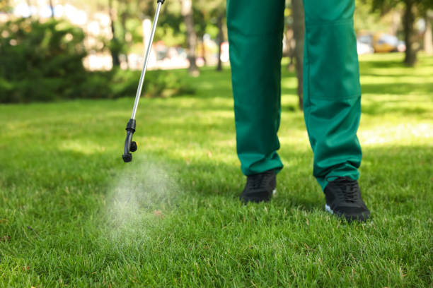 Best Exterminator Services  in Cascades, VA