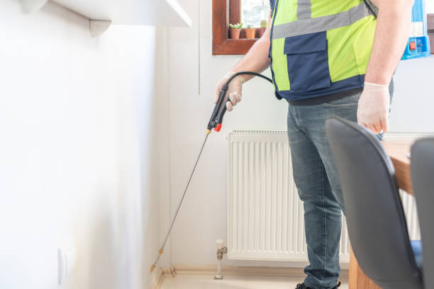 Best Wasp Removal Services  in Cascades, VA