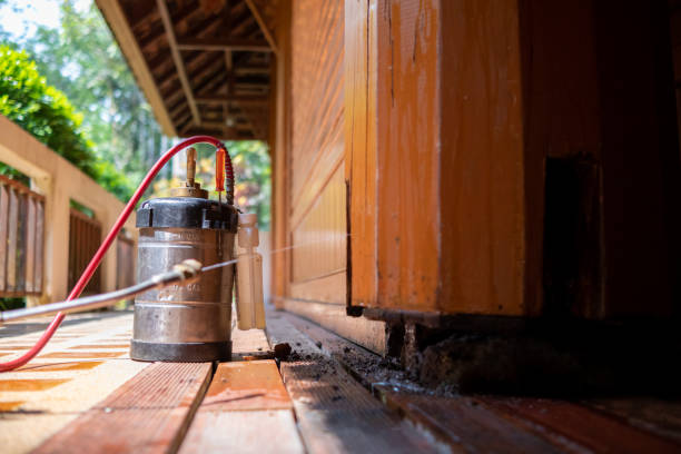 Best Best Pest Control Companies  in Cascades, VA