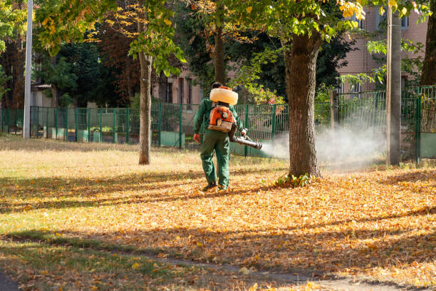 Flea Control Services in Cascades, VA