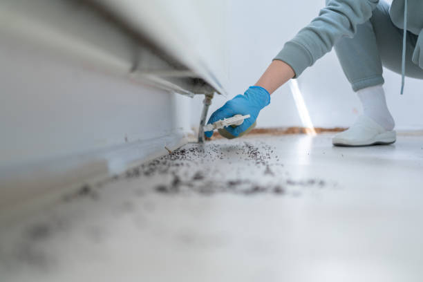 Best Mosquito Control Services  in Cascades, VA