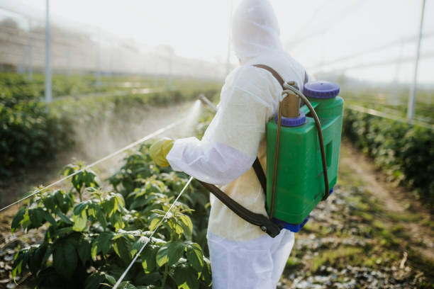  Cascades, VA Pest Control Pros